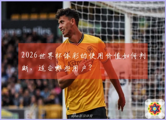 2026世界杯体彩的使用价值如何判断，适合哪些用户？