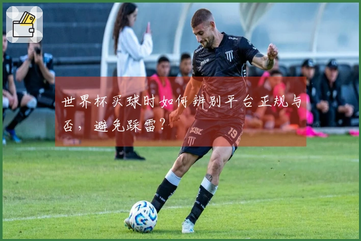 世界杯买球时如何辨别平台正规与否，避免踩雷？