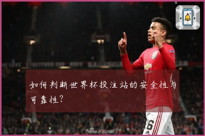 如何判断世界杯投注站的安全性与可靠性？